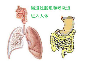 有机锡.jpg